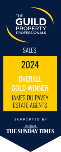 Overall Best Agent in the UK 2024 in the Guild Awards