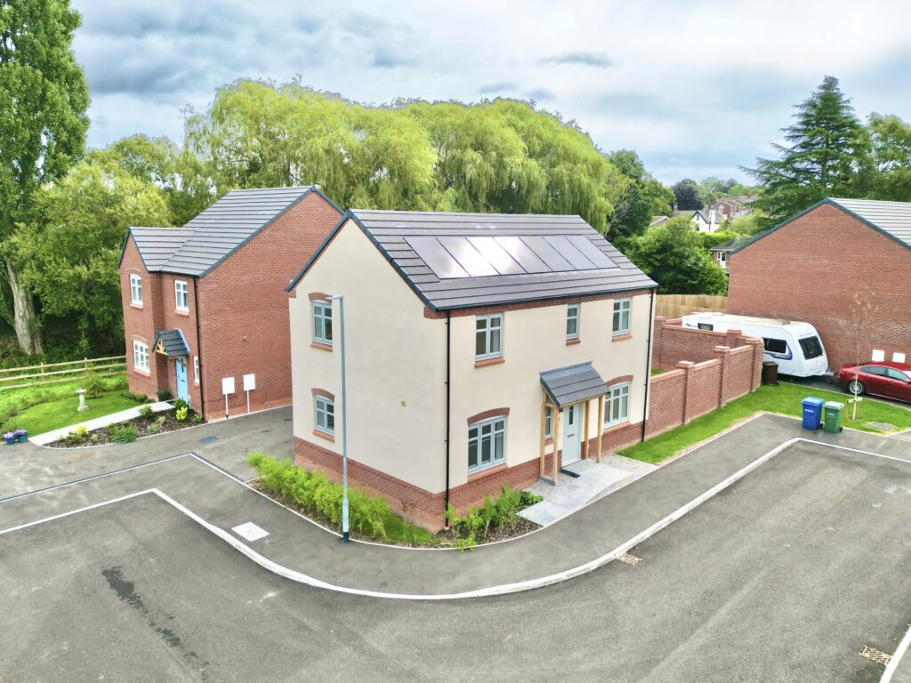 Castle Meadows, Castle Street, ST21