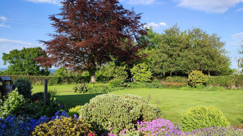 Cross Gate, Hilderstone, ST15