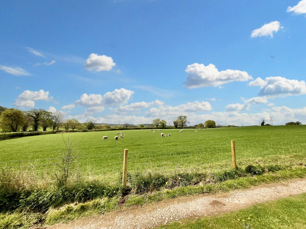 Outlanes, Meaford, ST15