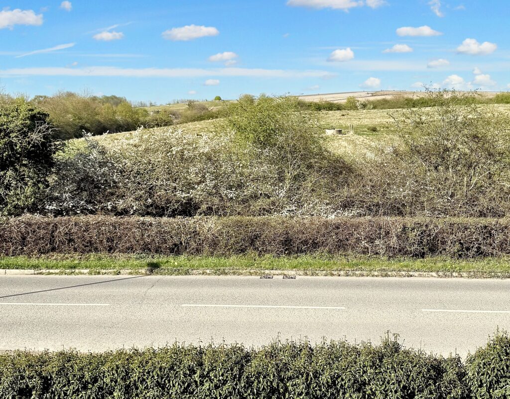 Maw Green Road, Crewe, CW1