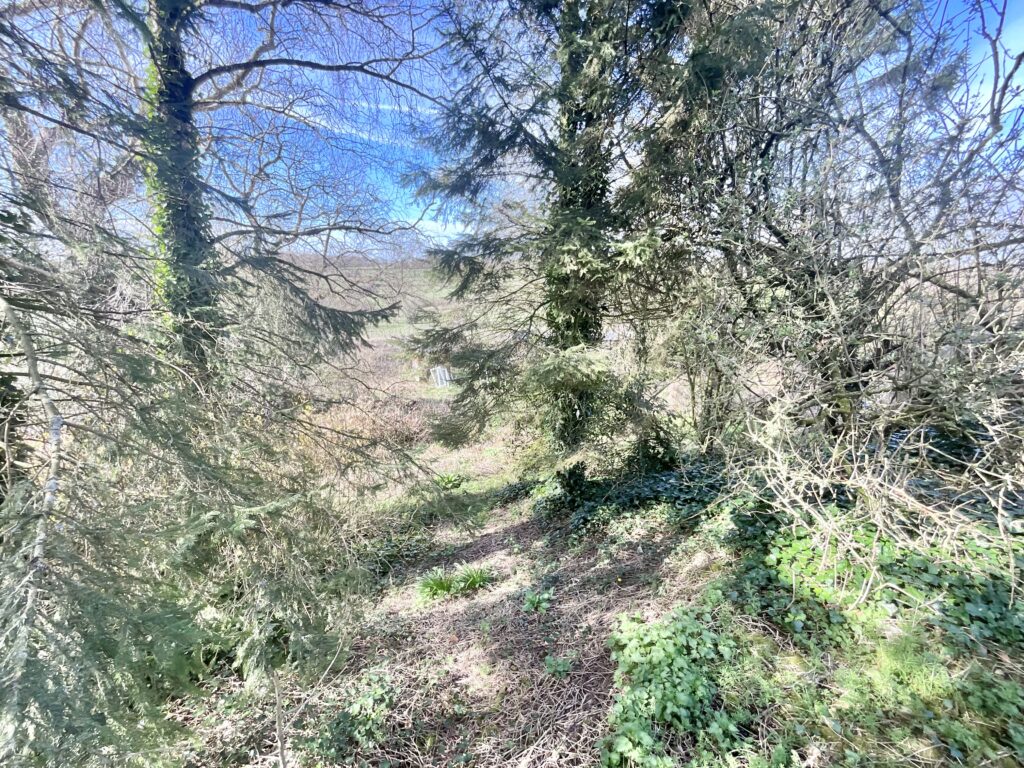 Holt Lane, Kingsley, ST10