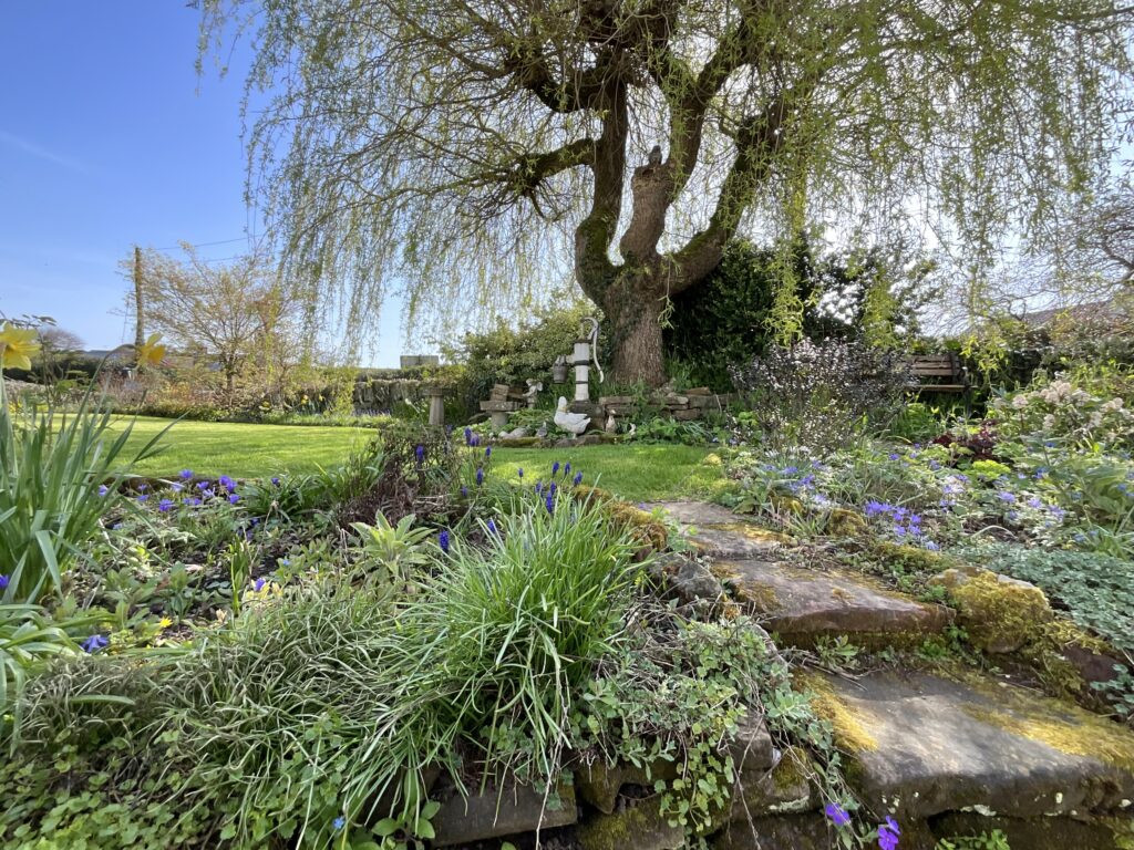 Gallows Green, Alton, ST10