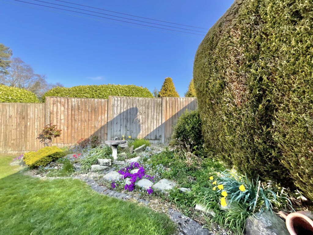 Common Lane, Rough Close, ST3