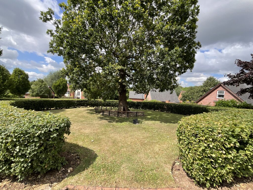 Ashbourne Drive, Weston, CW2