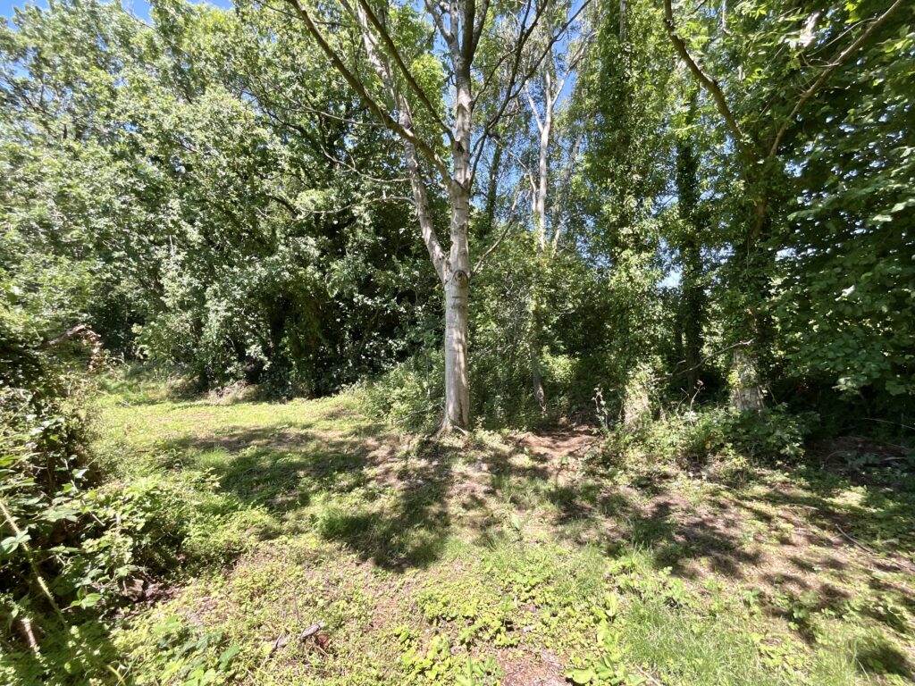 Hollington, Main Road, ST10