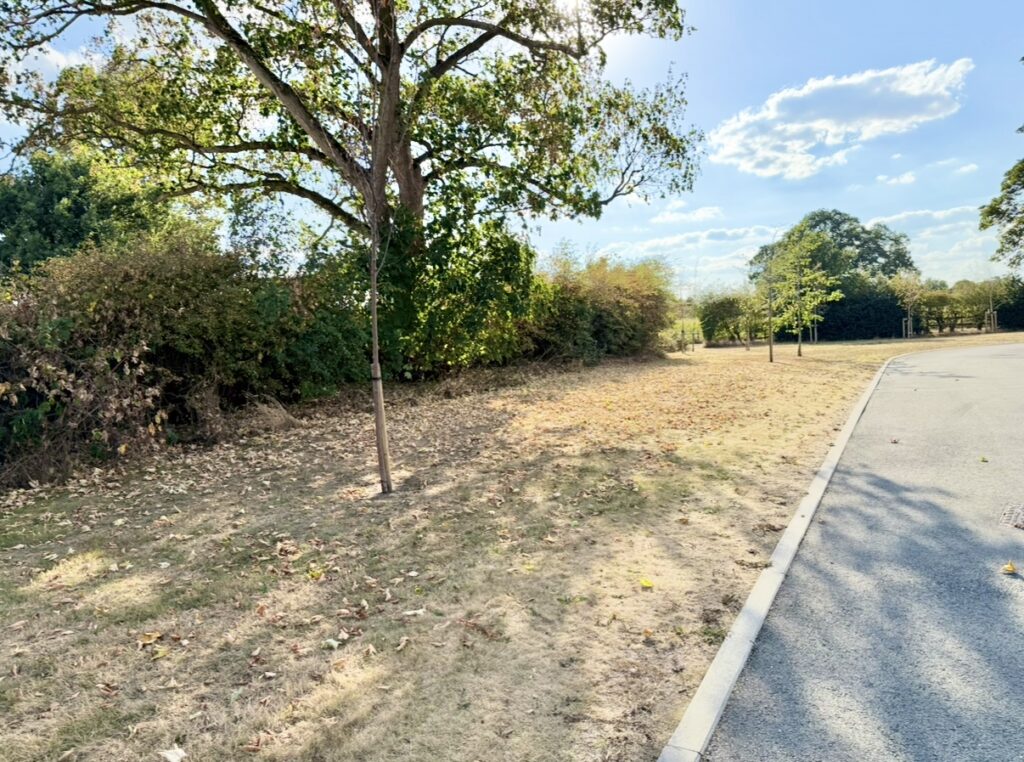Glover Drive, Willaston, CW5