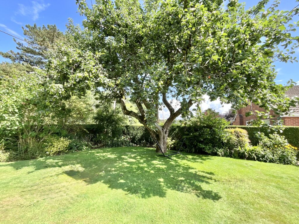 Stallington Road, Blythe Bridge, ST11