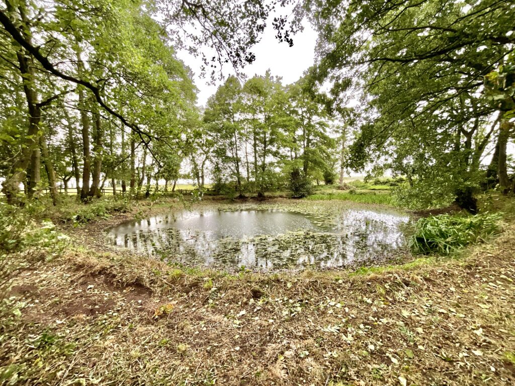 Pixley Lane, Hinstock, TF9