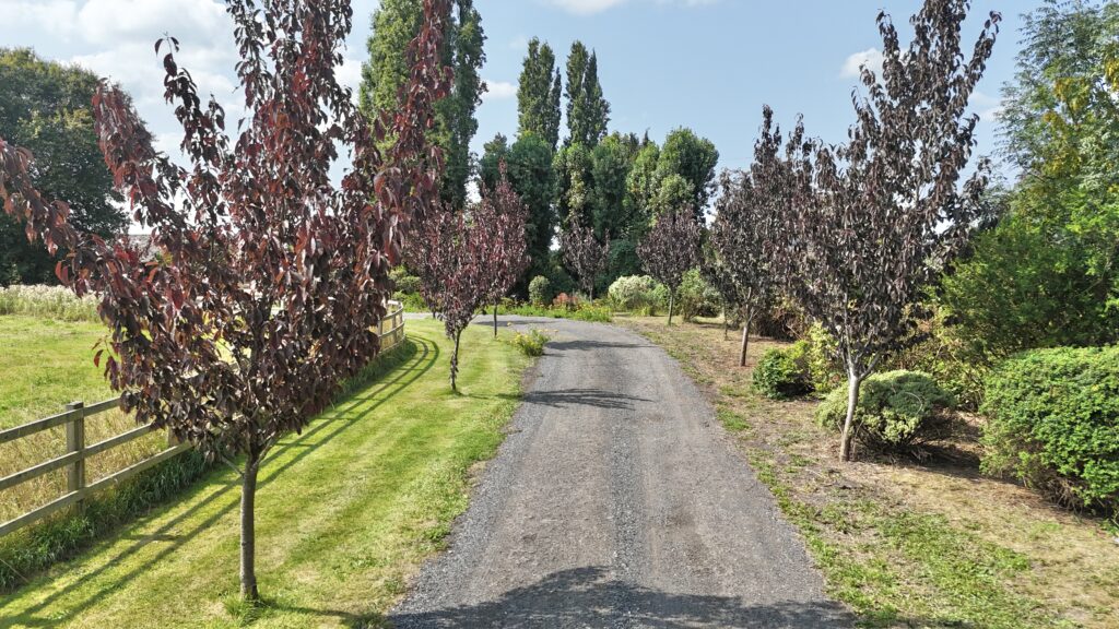 Baddiley, Nantwich, CW5