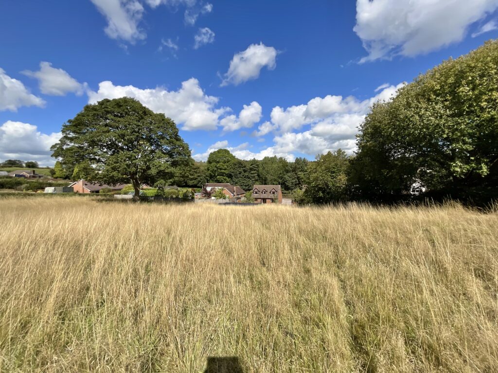 Park Lane, Cheadle, ST10