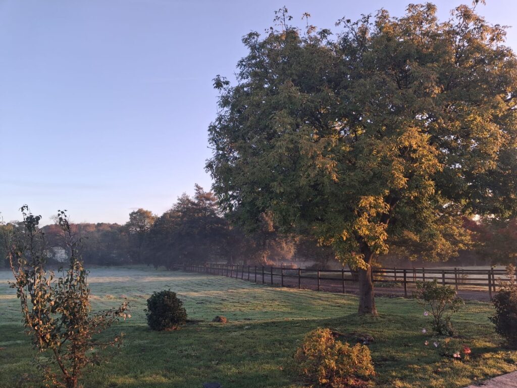 Consall, Wetley Rocks, ST9