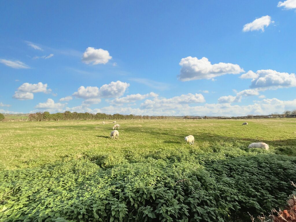 Aston Lane, Aston, ST15