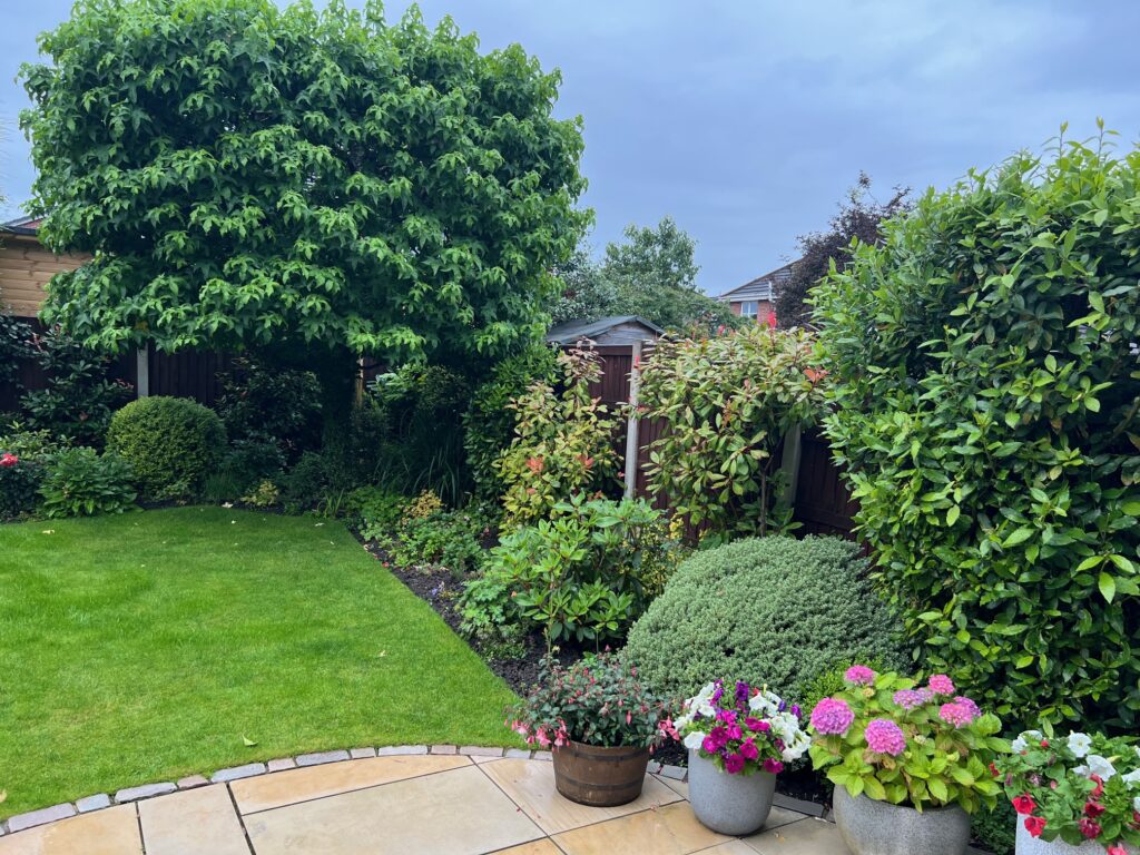 Thorn Tree Drive, Crewe, CW1