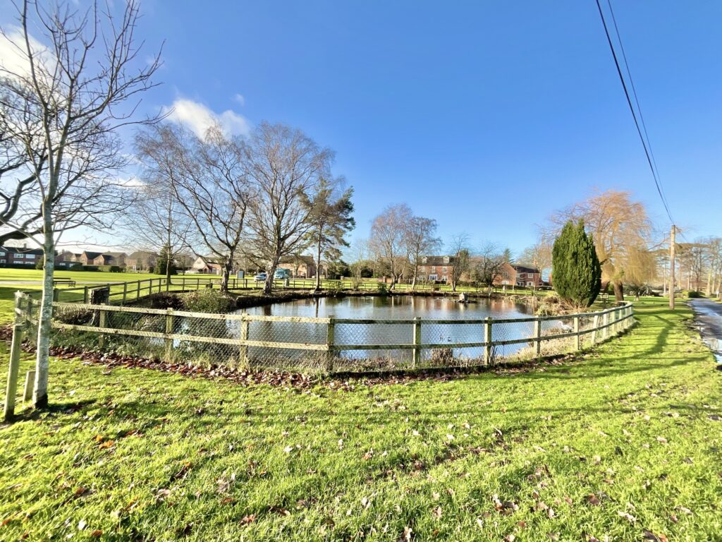 Well Field Way, Hankelow, CW3