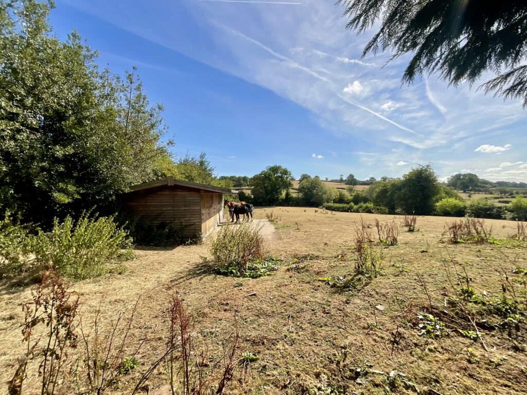Coton, Milwich, ST18