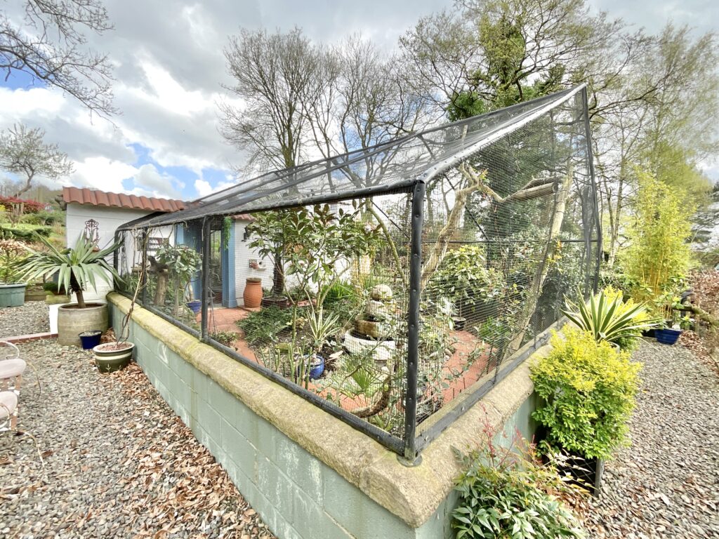 Lockley Wood, Market Drayton, TF9