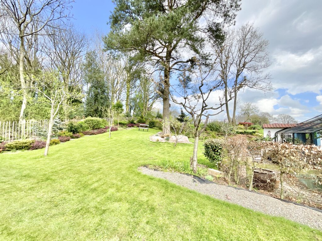 Lockley Wood, Market Drayton, TF9