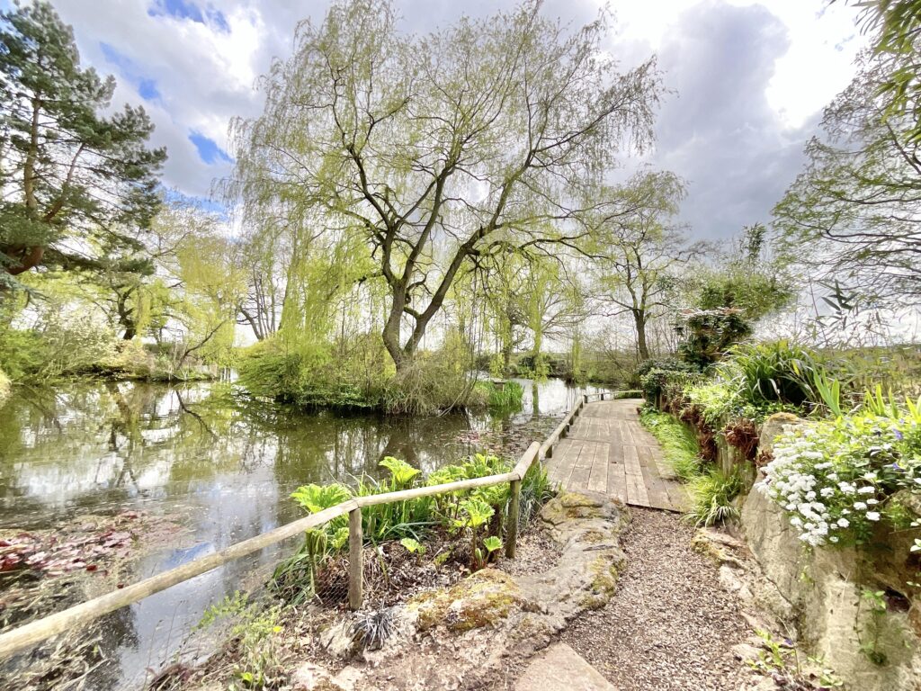 Lockley Wood, Market Drayton, TF9