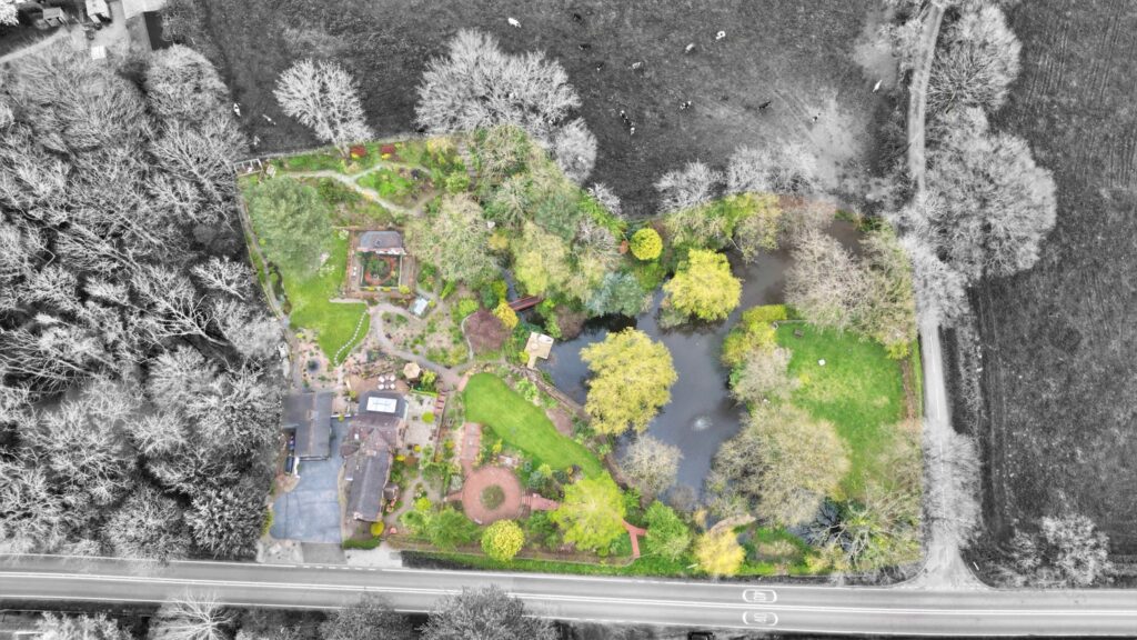 Lockley Wood, Market Drayton, TF9