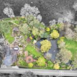 Lockley Wood, Market Drayton, TF9