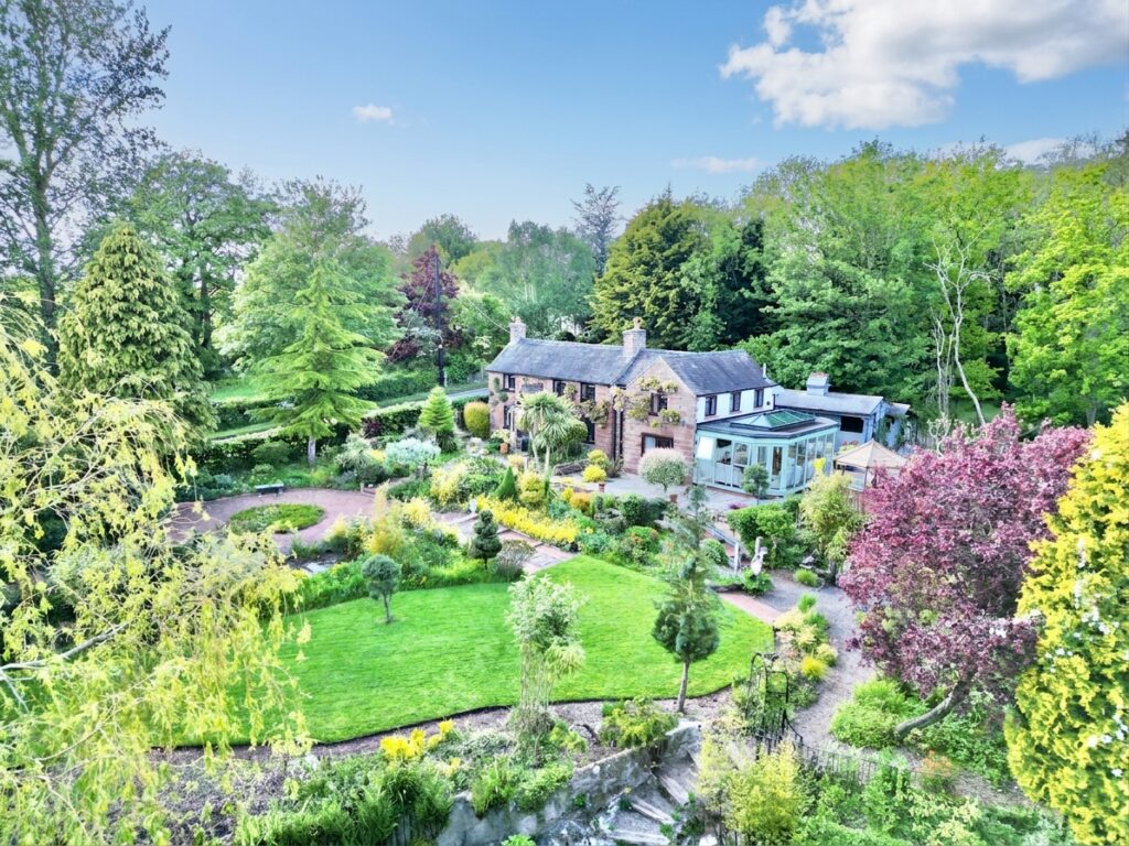 Lockley Wood, Market Drayton, TF9