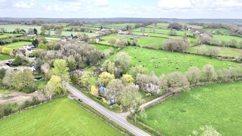 Lockley Wood, Market Drayton, TF9