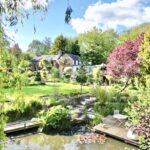 Lockley Wood, Market Drayton, TF9