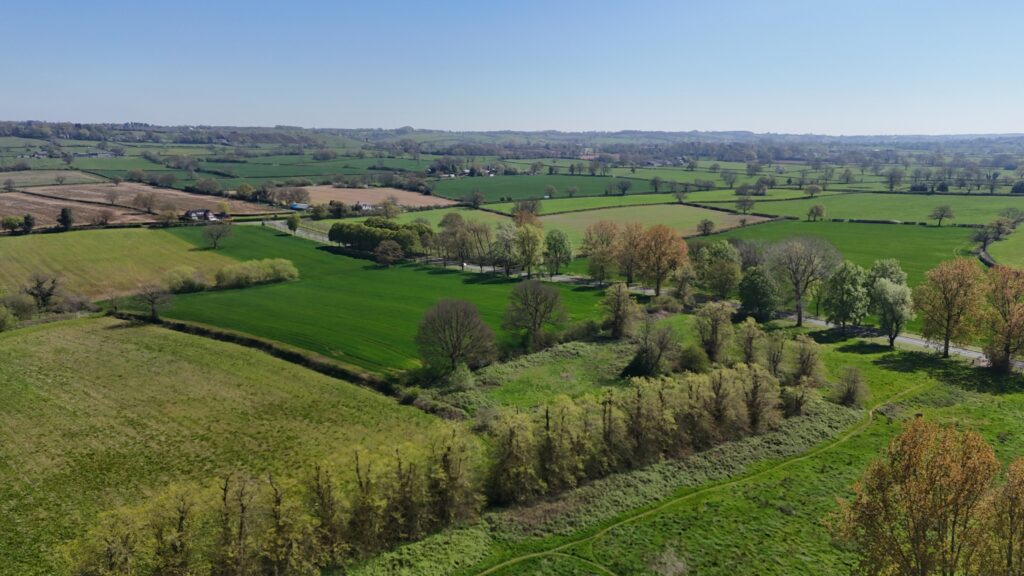 Etruscan Walk, Barlaston, ST12