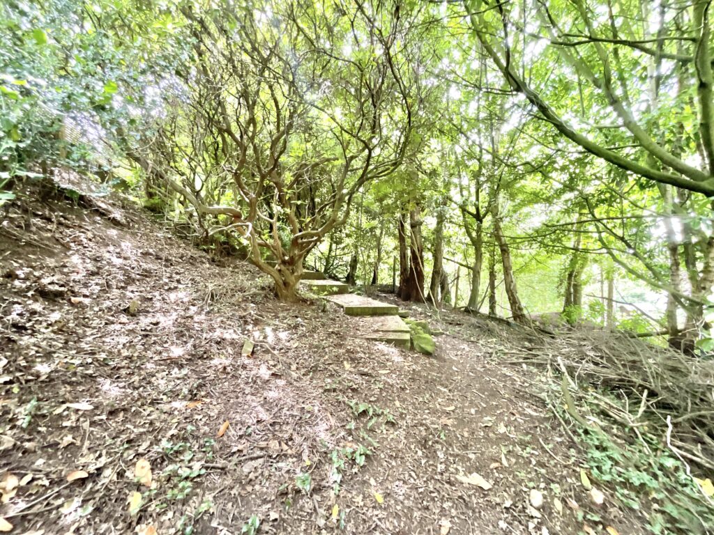 Birch Tree Lane, Whitmore, ST5