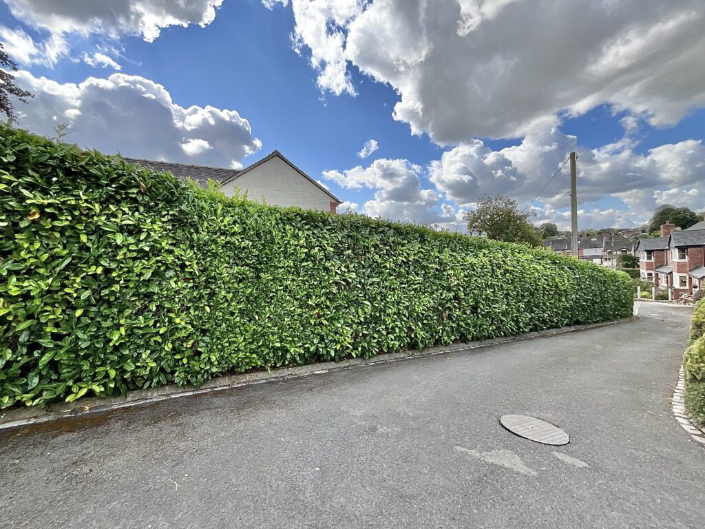Sunnyside, Kingsley, ST10