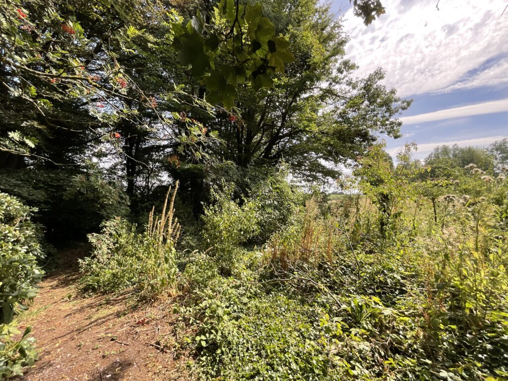 Nightingale Walk, Blythe Bridge, ST11