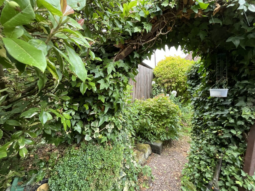 Whiston, Black Lane, ST10