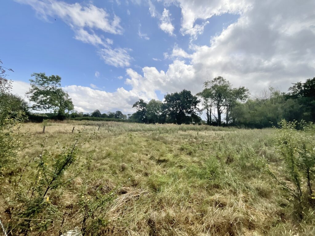 Winsford Road, Cholmondeston, CW7