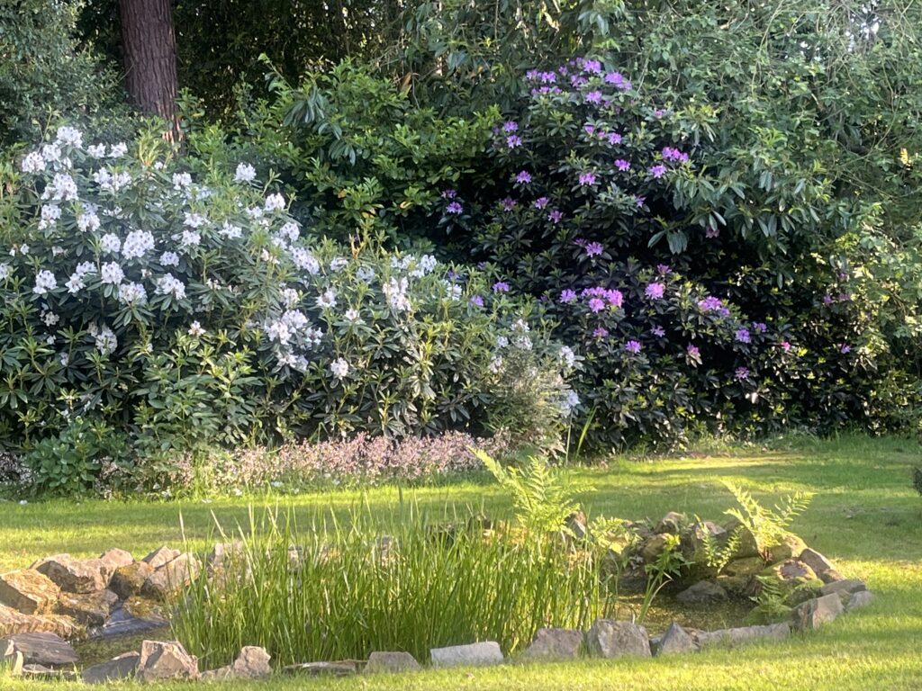 Derwent Drive, Loggerheads, TF9
